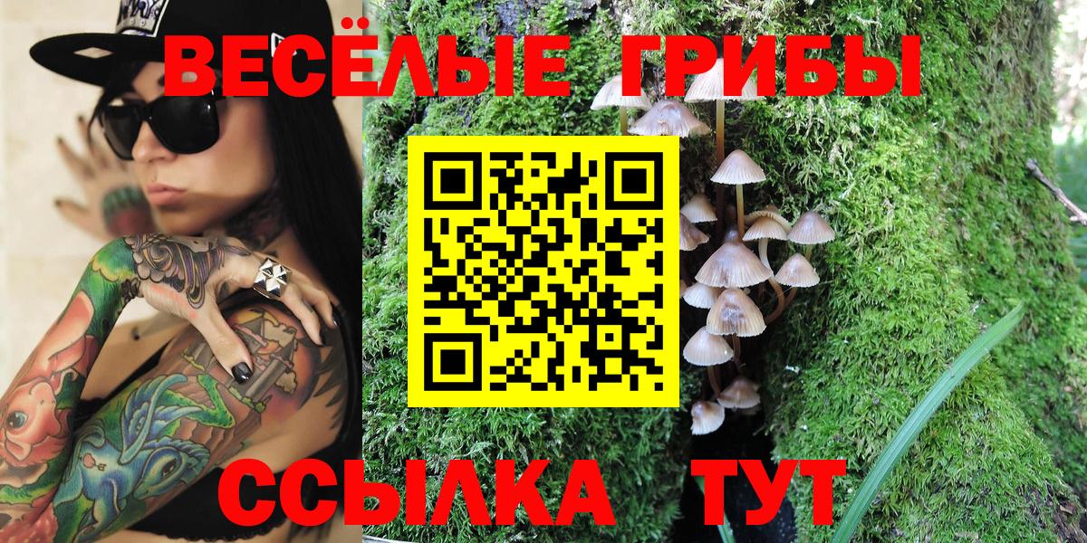 Тейково  Галлюциногенные грибы MAGIC MUSHROOMS  Вход с VPN 