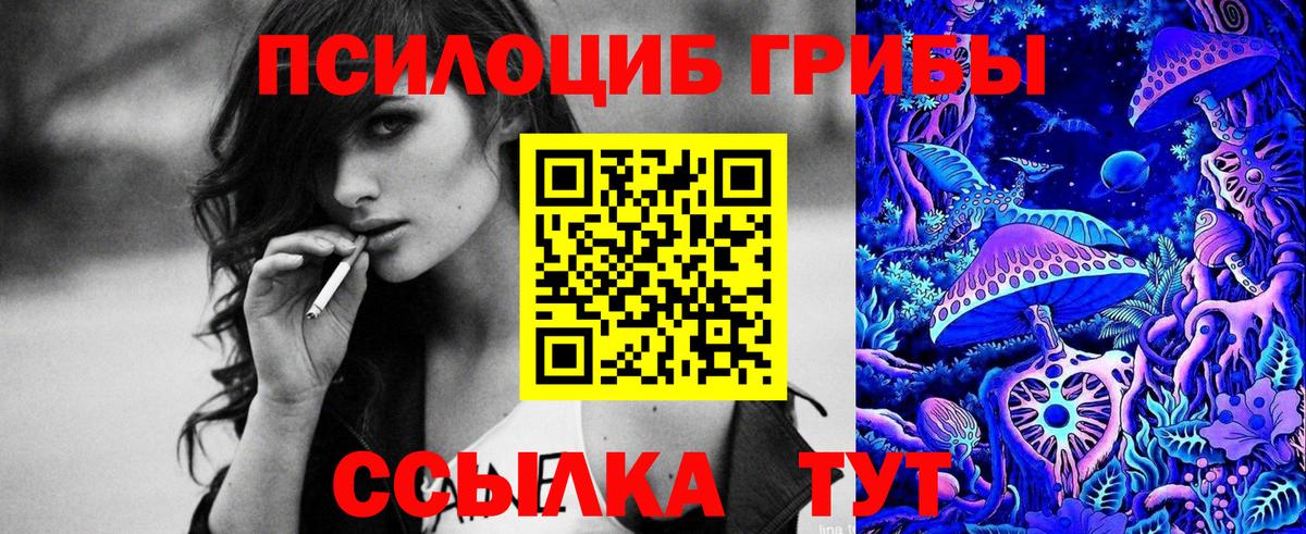 Галлюциногенные грибы Psilocybe Тейково
